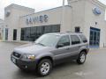 2007 Ford Escape XLT V6 4WD Tungsten Grey Metallic