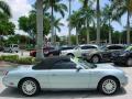 2004 Thunderbird Deluxe Roadster #5 2004 Thunderbird Deluxe Roadster #5