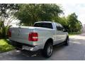 2006 Mark LT SuperCrew 4x4 #9 2006 Mark LT SuperCrew 4x4 #9