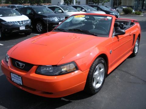 Competition Orange Ford Mustang V6 Convertible.  Click to enlarge.