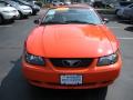 2004 Mustang V6 Convertible #2