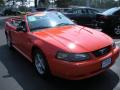 2004 Mustang V6 Convertible #3