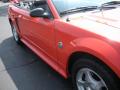 2004 Mustang V6 Convertible #4