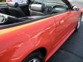 2004 Mustang V6 Convertible #5