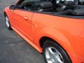 2004 Mustang V6 Convertible #7