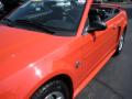 2004 Mustang V6 Convertible #8