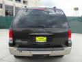 2005 Expedition Eddie Bauer #4