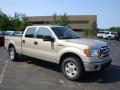 2010 Ford F150 XLT SuperCrew 4x4 Pueblo Gold Metallic