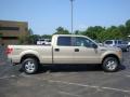 2010 F150 XLT SuperCrew 4x4 #2