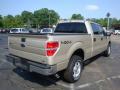 2010 F150 XLT SuperCrew 4x4 #3