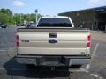2010 F150 XLT SuperCrew 4x4 #4
