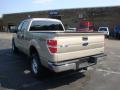 2010 F150 XLT SuperCrew 4x4 #5