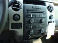 2010 F150 XLT SuperCrew 4x4 #9
