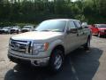 2010 F150 XLT SuperCrew 4x4 #10