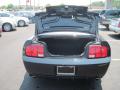 2008 Mustang GT Premium Convertible #12