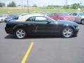 2008 Mustang GT Premium Convertible #16