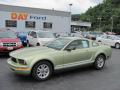 2006 Ford Mustang V6 Premium Coupe Legend Lime Metallic