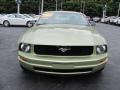 2006 Mustang V6 Premium Coupe #4