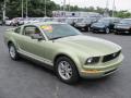 2006 Mustang V6 Premium Coupe #5