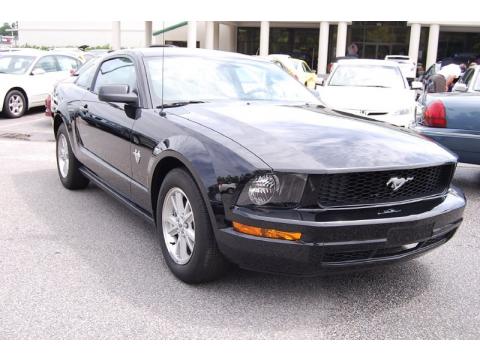 Black Ford Mustang V6 Coupe.  Click to enlarge.