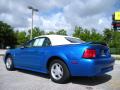 1999 Mustang V6 Convertible #7