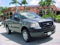 2007 Ford F150 XL Regular Cab Dark Shadow Grey Metallic
