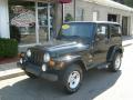 2004 Jeep Wrangler Sahara 4x4 Black