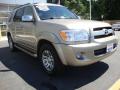 2007 Sequoia Limited #7