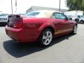 2006 Mustang GT Premium Convertible #3