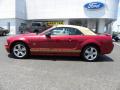 2006 Mustang GT Premium Convertible #5