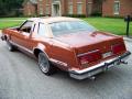 1979 Thunderbird 2 Door Coupe #9