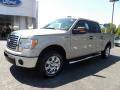 2010 F150 XLT SuperCrew #6