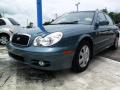 2004 Sonata  #6