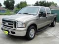 2006 F250 Super Duty XLT Crew Cab #7