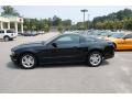 2010 Mustang V6 Coupe #2