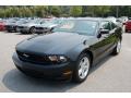 2010 Mustang V6 Coupe #10