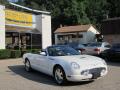 2002 Thunderbird Premium Roadster #2