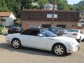 2002 Thunderbird Premium Roadster #28
