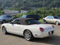 2002 Thunderbird Premium Roadster #30