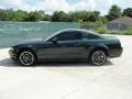 2008 Mustang Bullitt Coupe #6 2008 Mustang Bullitt Coupe #6