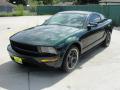 2008 Mustang Bullitt Coupe #7 2008 Mustang Bullitt Coupe #7