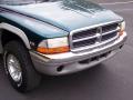 1999 Dakota SLT Extended Cab 4x4 #9