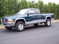 1999 Dakota SLT Extended Cab 4x4 #10