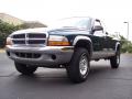 1999 Dakota SLT Extended Cab 4x4 #19