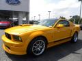 2009 Mustang GT Premium Coupe #6