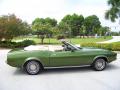 1973 Mustang Convertible #13