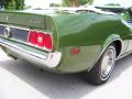 1973 Mustang Convertible #20