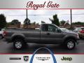 2004 Ford F150 XL Regular Cab 4x4 Dark Shadow Grey Metallic