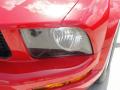 2007 Mustang V6 Deluxe Coupe #10