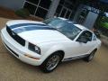 2005 Mustang V6 Deluxe Coupe #10